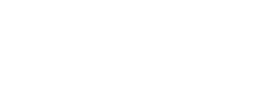 the triton investment